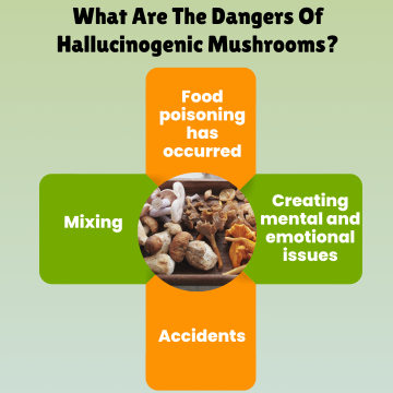 What are the dangers of hallucinogenic mushrooms
