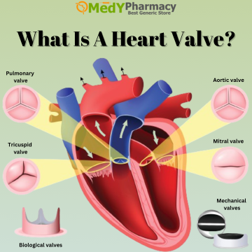 What is a heart valve