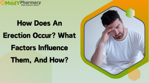 How Does An Erection Occur? What factors influence them, and how?